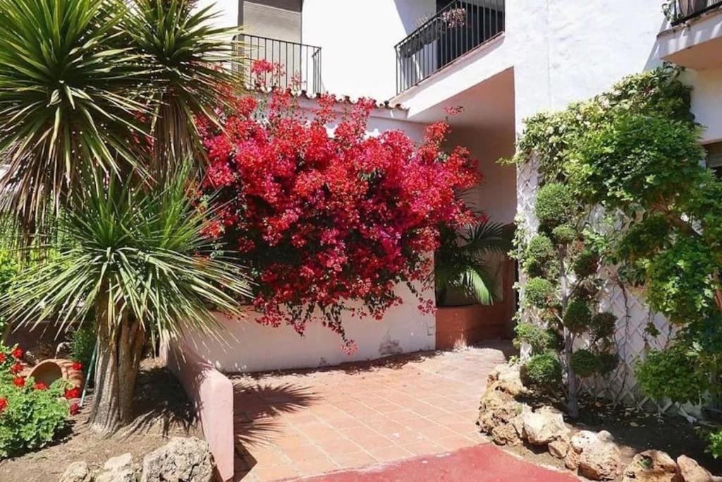Caprichoso Apartamento En El Corazon De Puerto Banus Μαρμπέλλα Εξωτερικό φωτογραφία